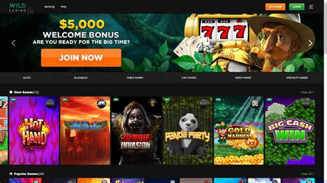 WILD CASINO: Register to Receive a $1000 Daily Free Bonus!.